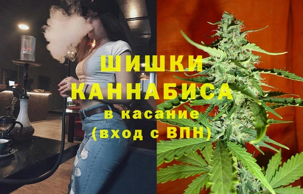 крисы Абдулино